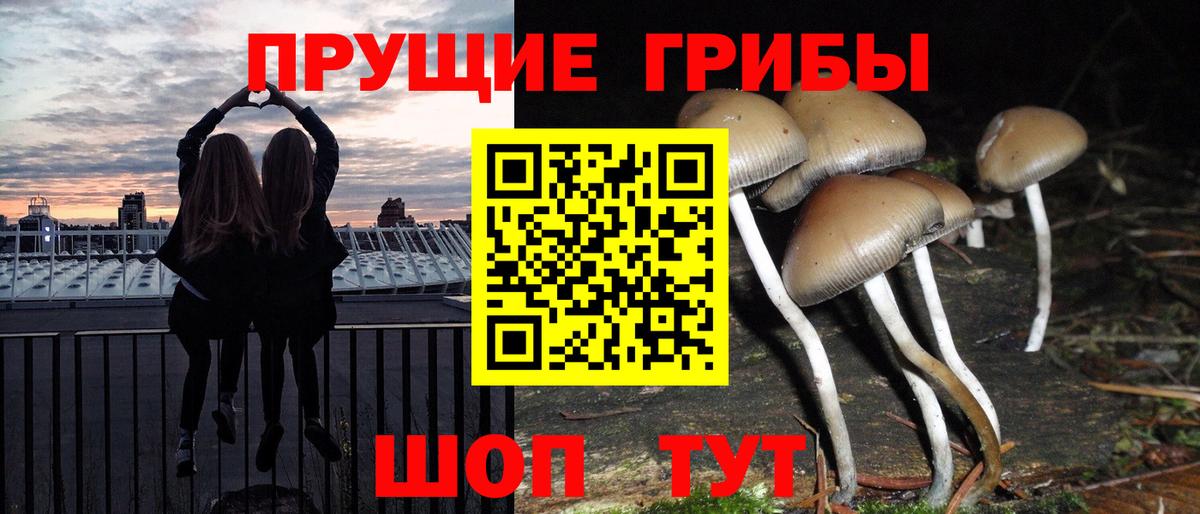 Псилоцибиновые грибы Cubensis Раменское